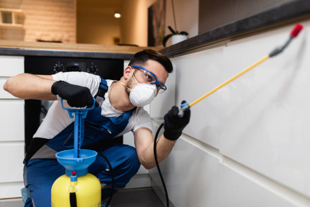Best Ant Control Services  in Fishersville, VA