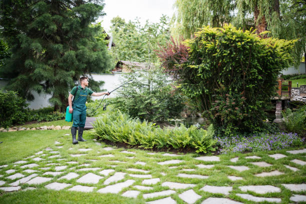Trusted Fishersville, VA Pest Control Experts