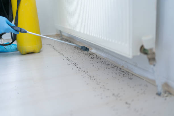 Best Pest Removal Services  in Fishersville, VA
