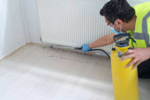 Best Affordable Pest Control Services  in Fishersville, VA