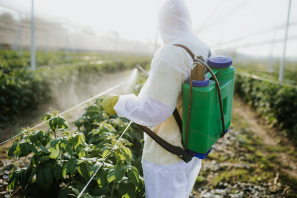  Fishersville, VA Pest Control Pros